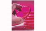 Mold Laboratory Services
