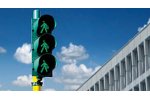 Business Continuity Management
