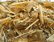 Firms` dynamics and the shadow economy in the wood industry in Slovenia
