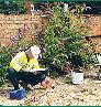 Environmental Site Assessments Service