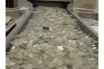 QXR-G - Glass Sorting & Separating System