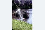MicroClear - 101 - For Algae Control