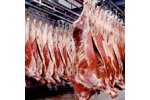 Red Meat Industry Wastewater Treatment