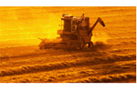 Organics e.g. PCBs & Dioxins