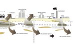 Environmental Risk Analysis